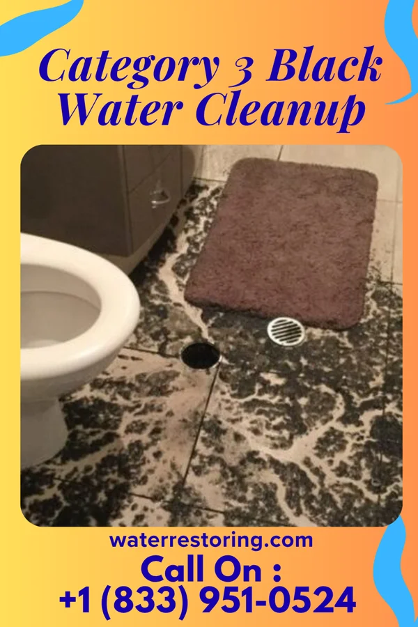 Category 3 Black Water Cleanup in Tradesville, SC