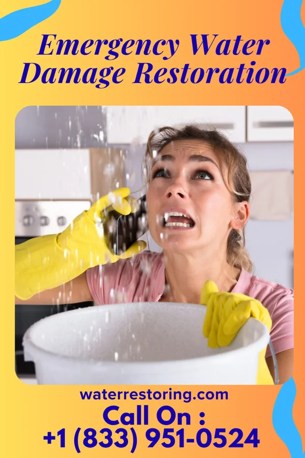 Emergency Water Damage Restoration in Tradesville, SC