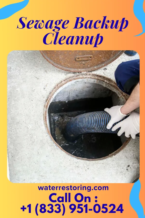 Sewage Backup Cleanup in Tradesville, SC